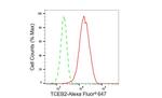 TCEB2 Antibody in Flow Cytometry (Flow)