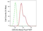 Cdc42 Antibody in Flow Cytometry (Flow)