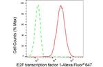 E2F1 Antibody in Flow Cytometry (Flow)