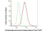 Glutamine Synthetase Antibody in Flow Cytometry (Flow)