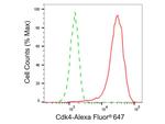 CDK4 Antibody in Flow Cytometry (Flow)