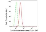 GSK3 alpha/beta Antibody in Flow Cytometry (Flow)