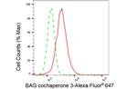 BAG3 Antibody in Flow Cytometry (Flow)