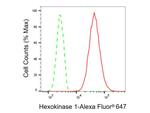 HK1 Antibody in Flow Cytometry (Flow)