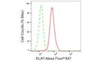 DLAT Antibody in Flow Cytometry (Flow)