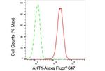 AKT1 Antibody in Flow Cytometry (Flow)