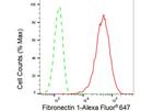 Fibronectin Antibody in Flow Cytometry (Flow)