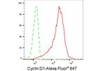 Cyclin D1 Antibody in Flow Cytometry (Flow)