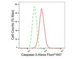 Caspase 3 Antibody in Flow Cytometry (Flow)