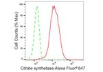 Citrate Synthase Antibody in Flow Cytometry (Flow)