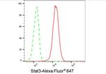 STAT3 Antibody in Flow Cytometry (Flow)