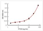 Golgi protein 58k Antibody in ELISA (ELISA)