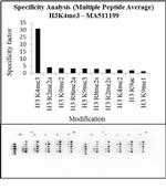 H3K4me3 Antibody in Peptide array (Array)