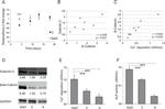 beta Catenin Antibody in Western Blot (WB)