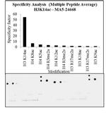 H3K14ac Antibody in Peptide array (Array)