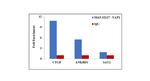 YAP1 Antibody in ChIP Assay (ChIP)