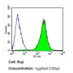 ICAM-1 Antibody in Flow Cytometry (Flow)