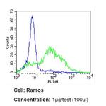 ICAM-1 Antibody in Flow Cytometry (Flow)