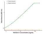 MAGEA3 Antibody in ELISA (ELISA)