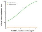 MAGEB1 Antibody in Luminex (LUM)