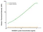 MAGEB1 Antibody in Luminex (LUM)