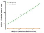 MAGEB1 Antibody in Luminex (LUM)