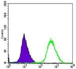 MEK6 Antibody in Flow Cytometry (Flow)