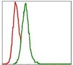 MEK7 Antibody in Flow Cytometry (Flow)