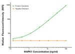 MAPK1 Antibody in Luminex (LUM)