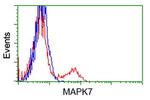 MAPK7 Antibody in Flow Cytometry (Flow)