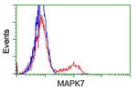 MAPK7 Antibody in Flow Cytometry (Flow)