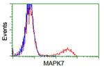 MAPK7 Antibody in Flow Cytometry (Flow)