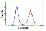 EB2 (MAPRE2) Antibody in Flow Cytometry (Flow)