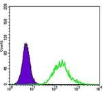 MATK Antibody in Flow Cytometry (Flow)