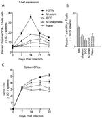 CD4 Antibody in Flow Cytometry (Flow)