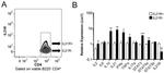 CD4 Antibody in Flow Cytometry (Flow)