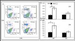 CD8 alpha Antibody in Flow Cytometry (Flow)