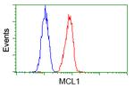 MCL1 Antibody in Flow Cytometry (Flow)