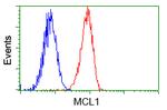 MCL1 Antibody in Flow Cytometry (Flow)