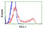 MCL1 Antibody in Flow Cytometry (Flow)