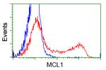 MCL1 Antibody in Flow Cytometry (Flow)