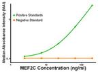 MEF2C Antibody in ELISA (ELISA)