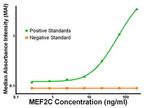 MEF2C Antibody in ELISA (ELISA)