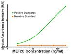 MEF2C Antibody in ELISA (ELISA)