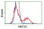 MEF2C Antibody in Flow Cytometry (Flow)