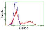 MEF2C Antibody in Flow Cytometry (Flow)