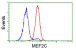 MEF2C Antibody in Flow Cytometry (Flow)