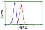 MEF2C Antibody in Flow Cytometry (Flow)