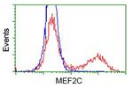 MEF2C Antibody in Flow Cytometry (Flow)