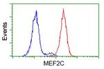 MEF2C Antibody in Flow Cytometry (Flow)